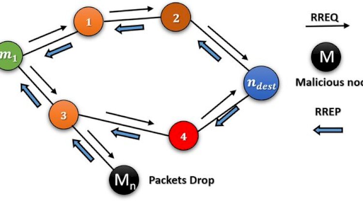 A Deep Dive into Blackhole Attacks in Network Security - Puchin